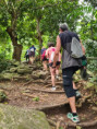 /album/fotogaleria-karibik-island-hopping-zajezd-vy-a-my/island-hopping-zajazd-00-70-jpg1/